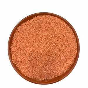 Moshur Dal (MoTa) / মসুর ডাল (মোটা)