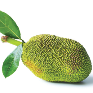 Soft Jackfruits