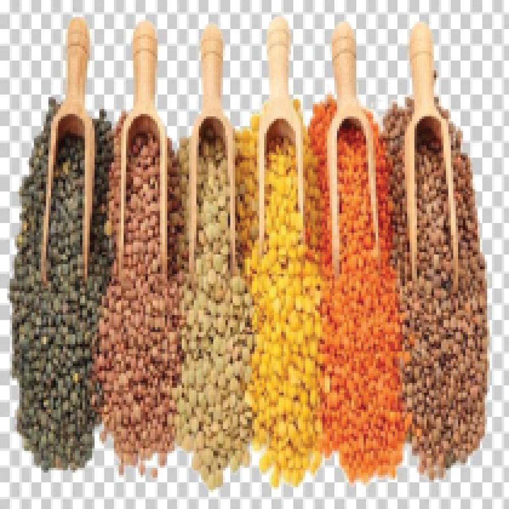 Dal