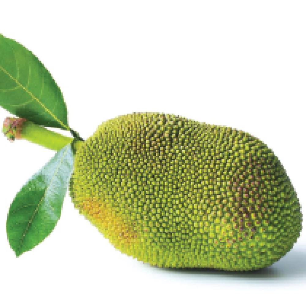 Jackfruits